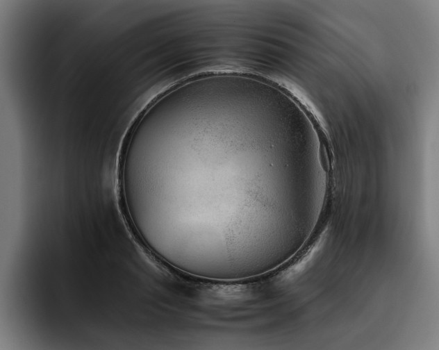 X0000093460845200710121405