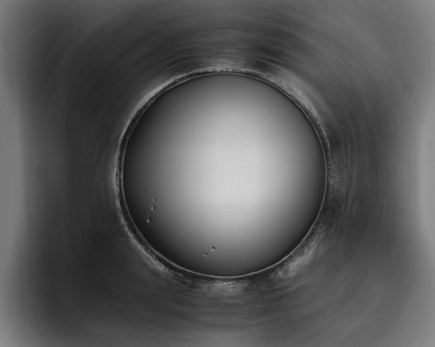 X0000093460847200710121405