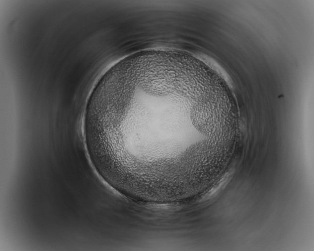 X0000093460855200710121405