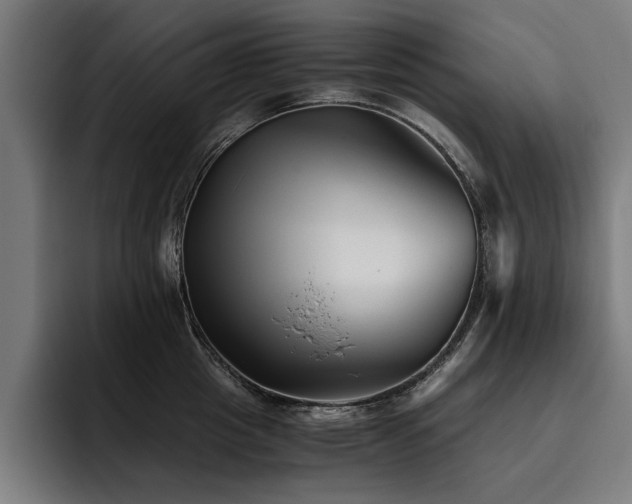 X0000093460857200710121405