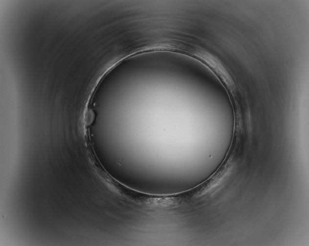 X0000093460858200710121405