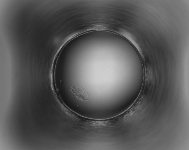 X0000093460861200710121405