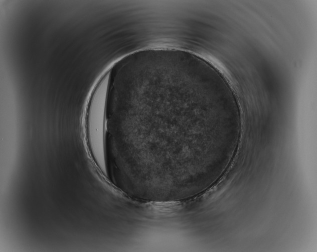 X0000093460864200710121405