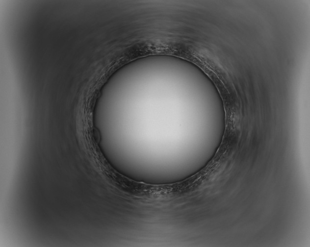 X0000093460865200710121404