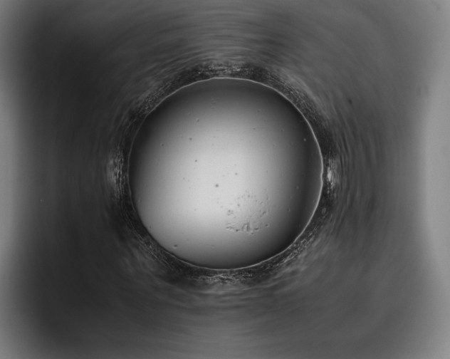 X0000093460867200710121404