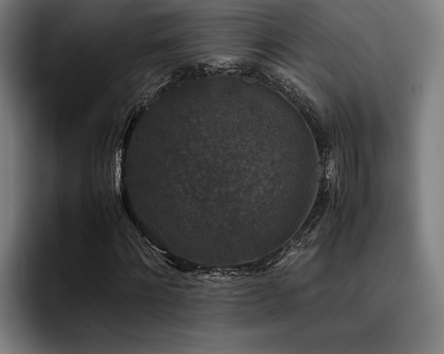 X0000093460868200710121404