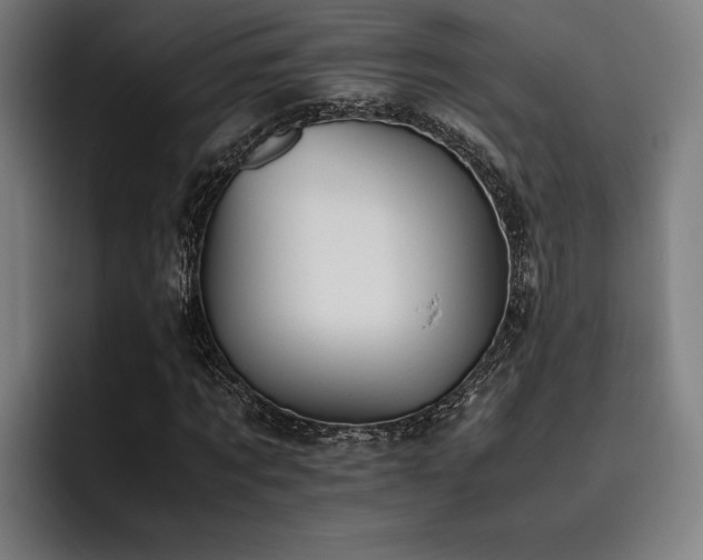 X0000093460869200710121404