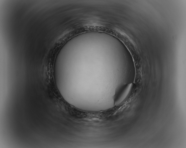 X0000093460870200710121404