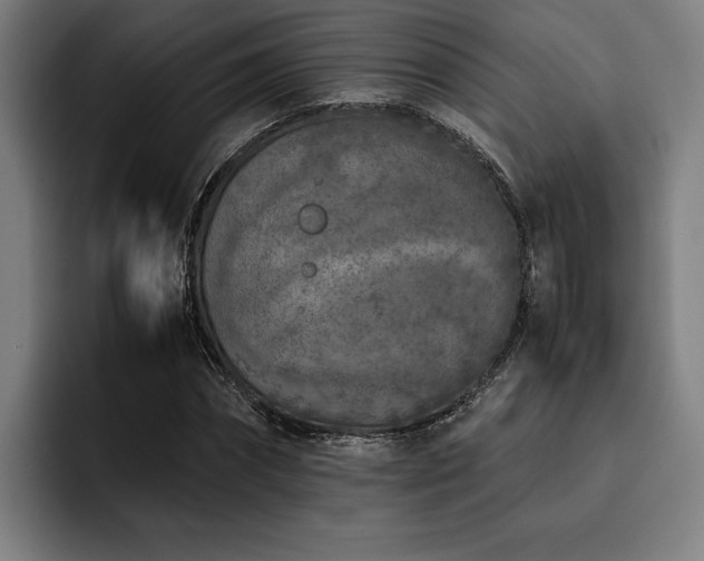 X0000093460874200710121404