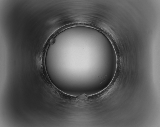 X0000093460875200710121404