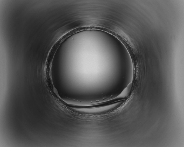 X0000093460876200710121404