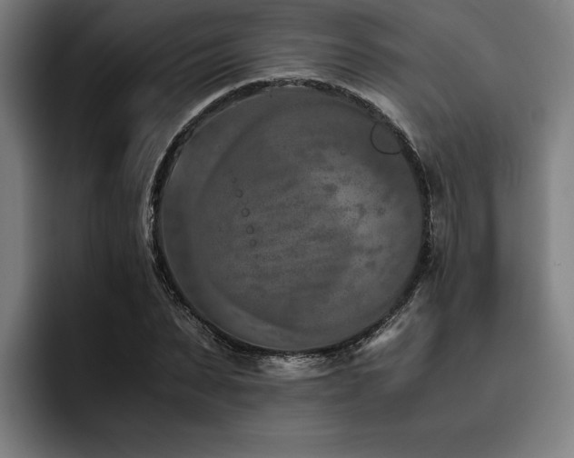 X0000093460879200710121404