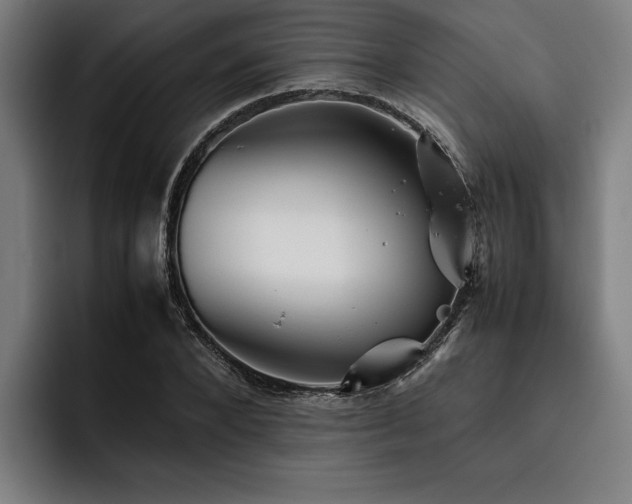 X0000093460880200710121404