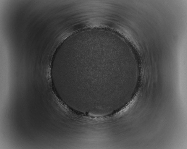 X0000093460881200710121404