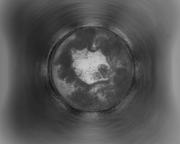 X0000093460882200710121404