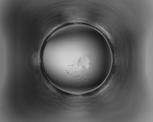 X0000093460885200710121404