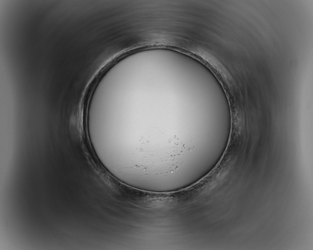 X0000093460886200710121404