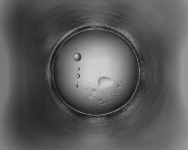 X0000093460887200710121404