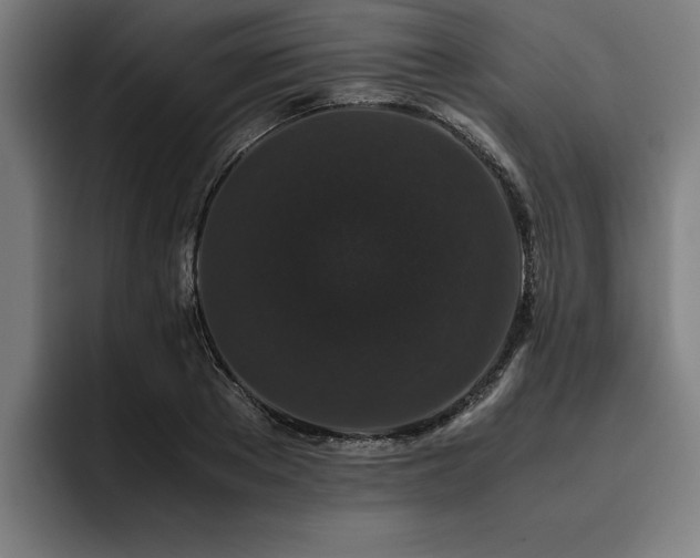 X0000093460889200710121404