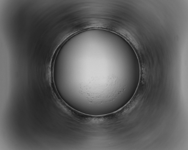 X0000093460890200710121404