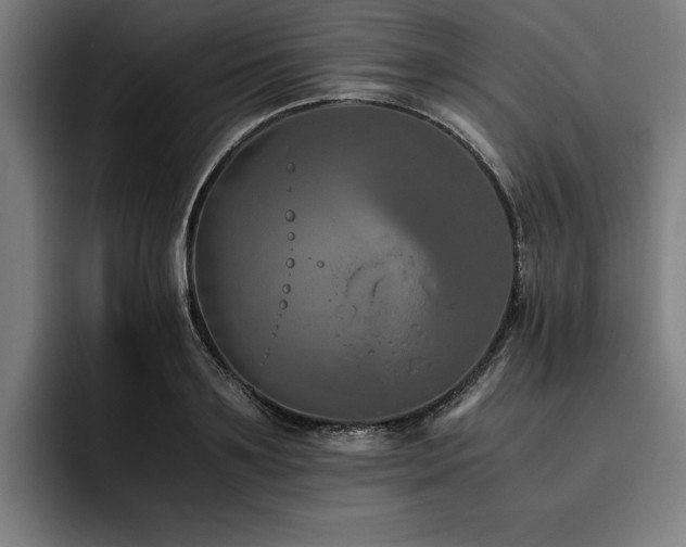 X0000093460891200710121404