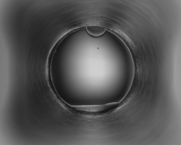 X0000093460894200710121404