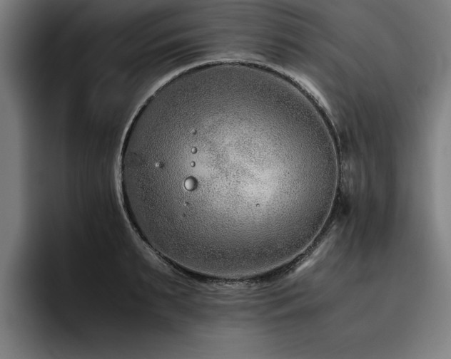 X0000093460895200710121404