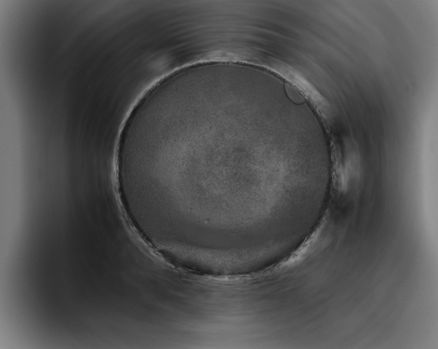 X0000093460896200710121404