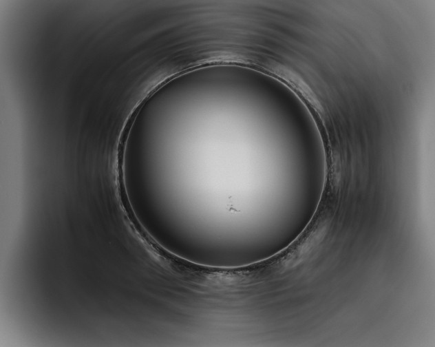 X0000093460898200710121404