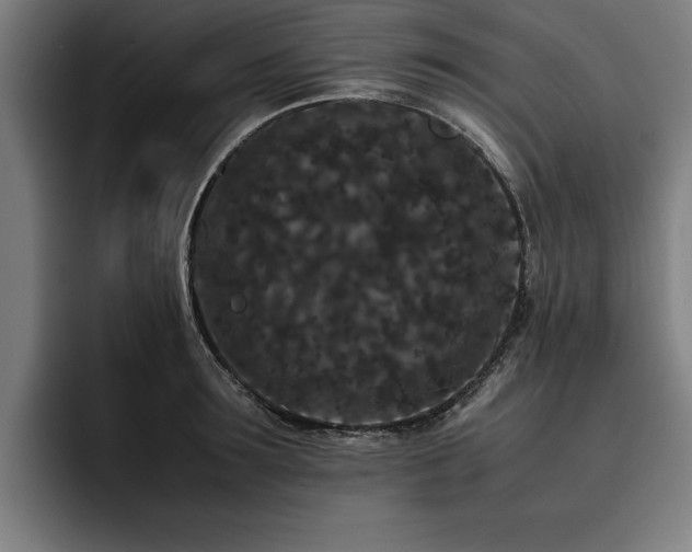 X0000093460899200710121404