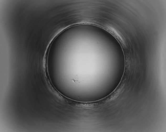 X0000093460900200710121404