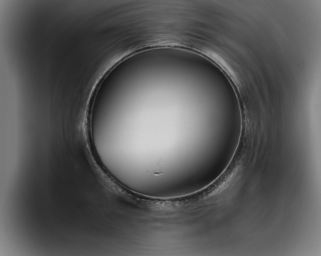 X0000093460901200710121404