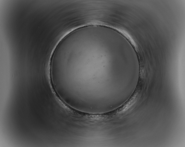 X0000093460903200710121404