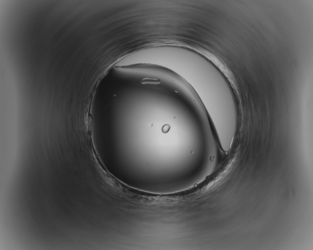 X0000093460905200710121404