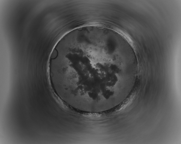 X0000093460907200710121404