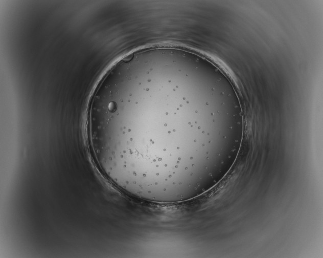 X0000093460911200710121404