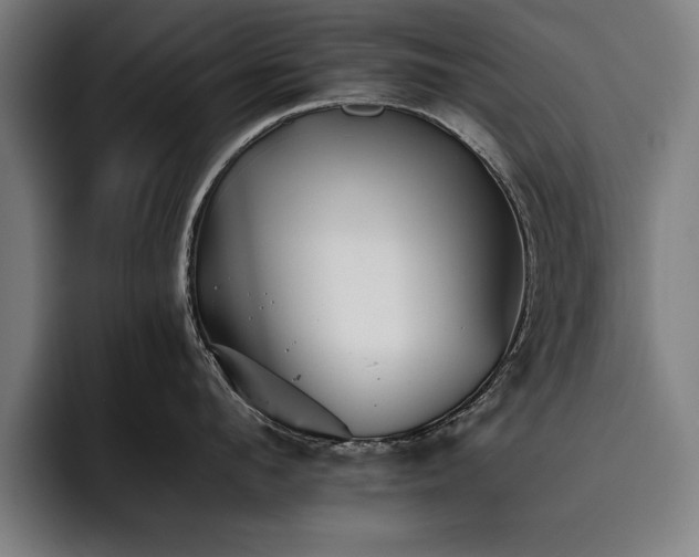 X0000093460912200710121404