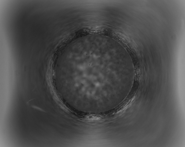 X0000093460913200710121403