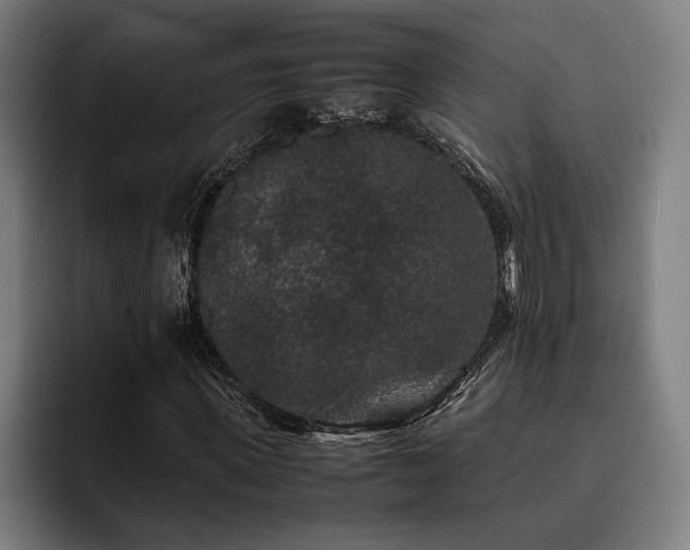 X0000093460915200710121403