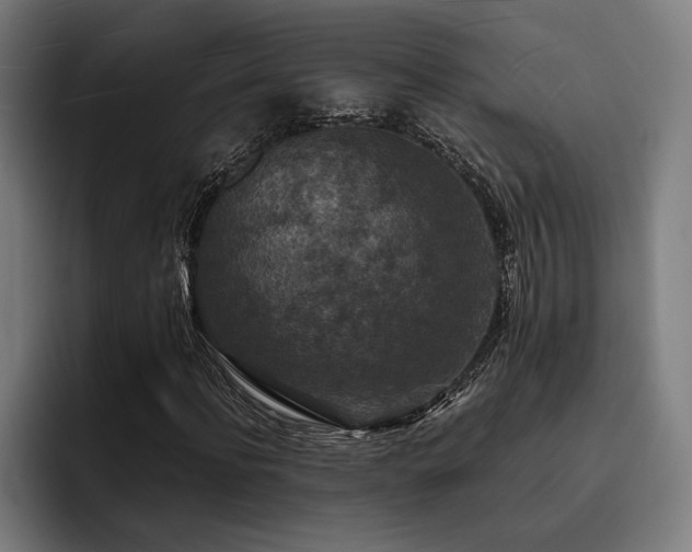 X0000093460916200710121403