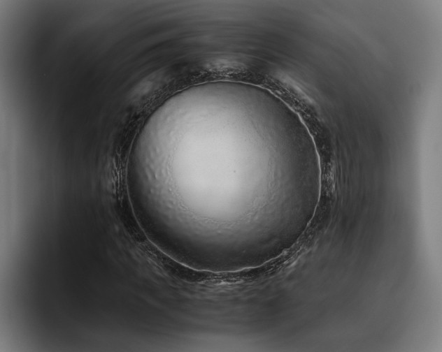 X0000093460917200710121403