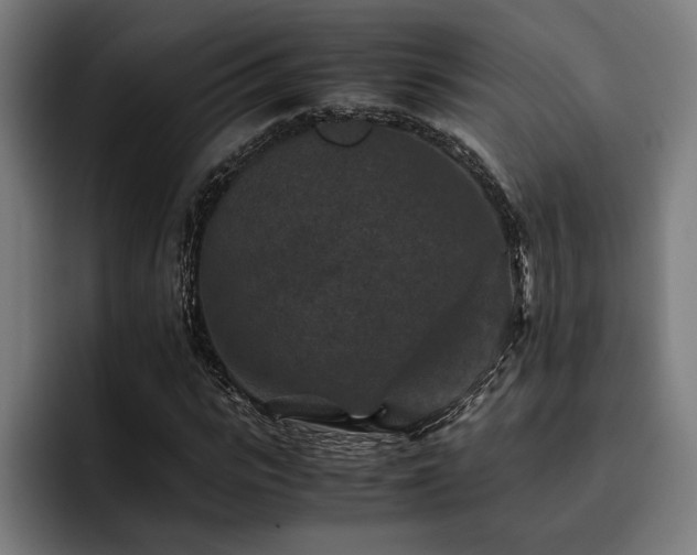 X0000093460919200710121403