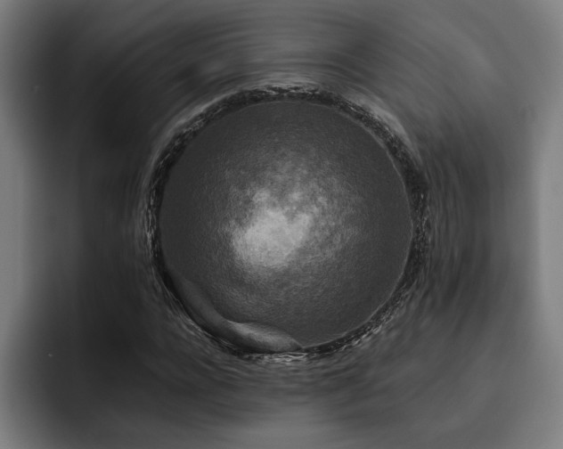 X0000093460920200710121403