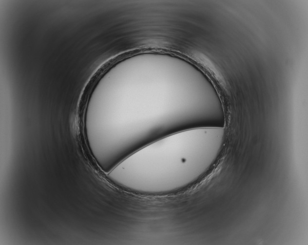 X0000093460924200710121403