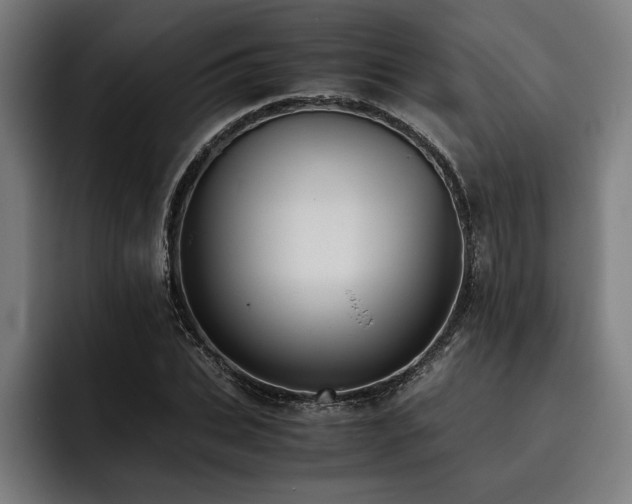 X0000093460927200710121403