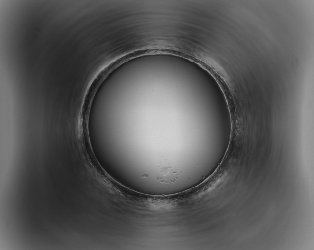 X0000093460928200710121403