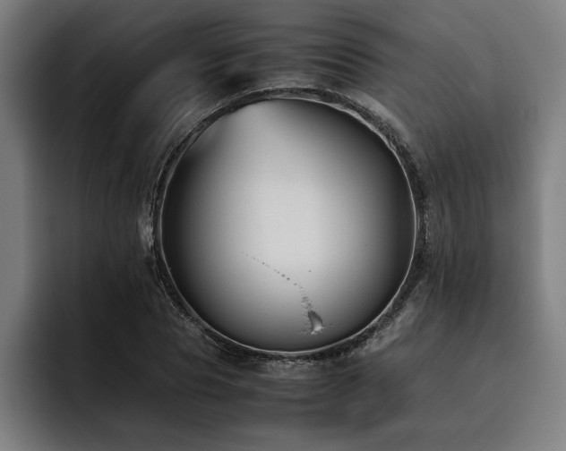 X0000093460929200710121403