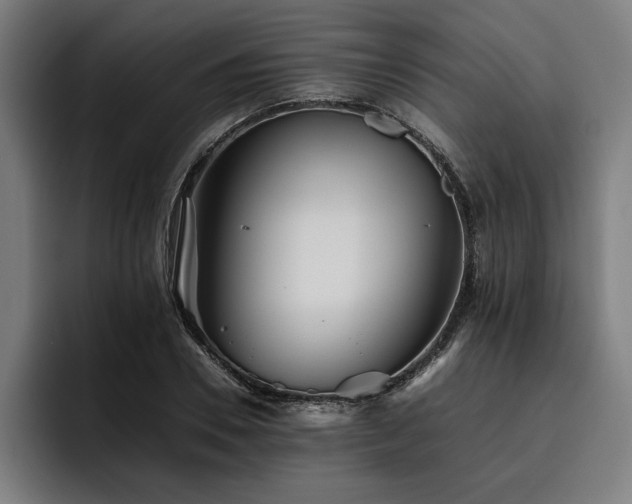 X0000093460930200710121403