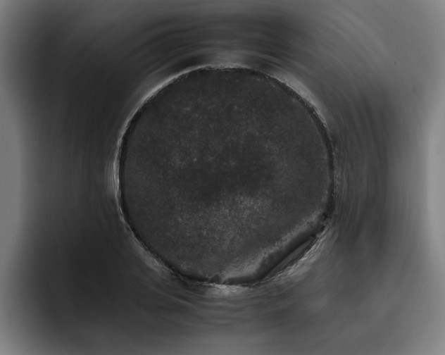 X0000093460935200710121404