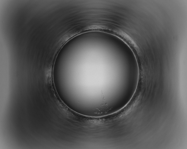 X0000093460937200710121404